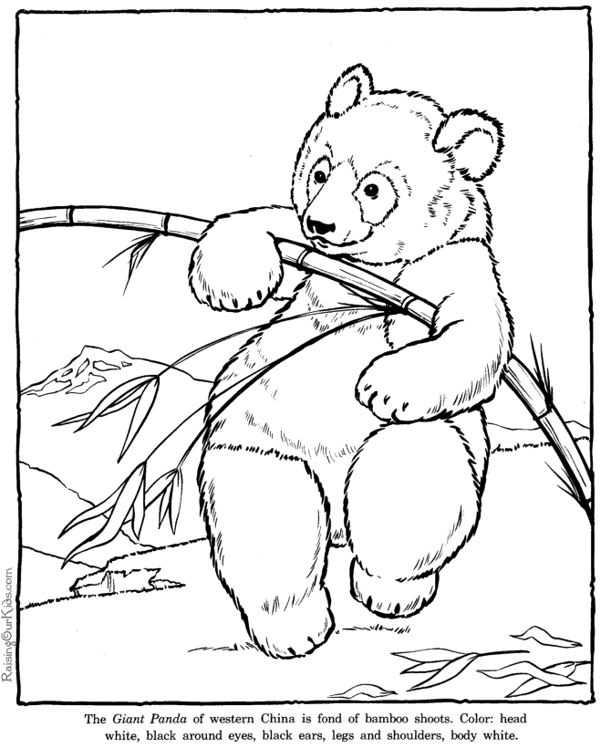 Plansa de colorat cu Panda 15 7